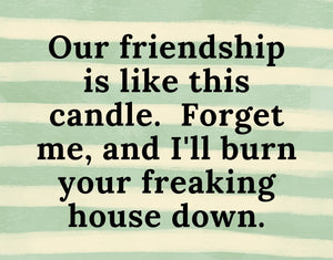 OUR FRIENDSHIP IS LIKE THIS CANDLE